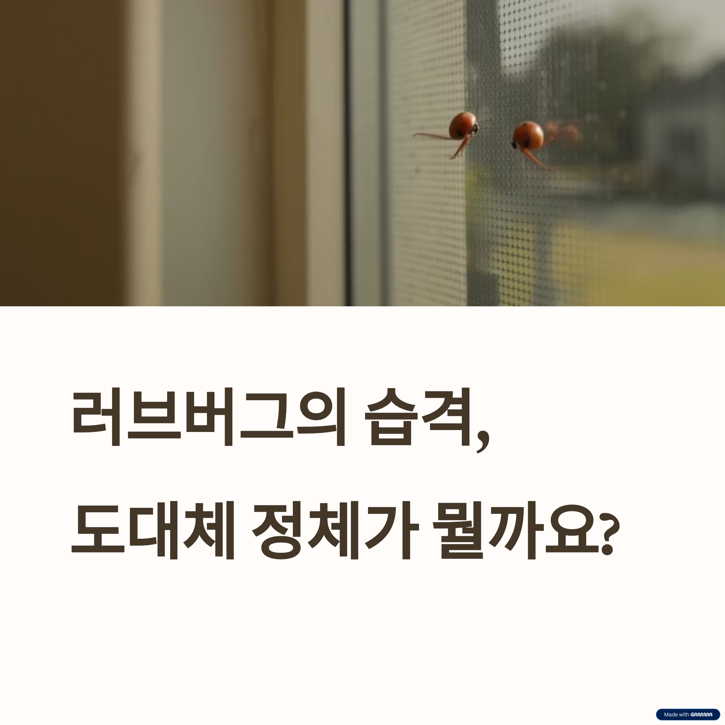 러브버그 원인과 대처법 총정리: 불쾌한 곤충, 친화경적으로 관리하는 법