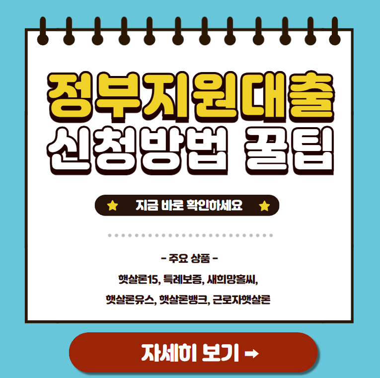 정부지원대출