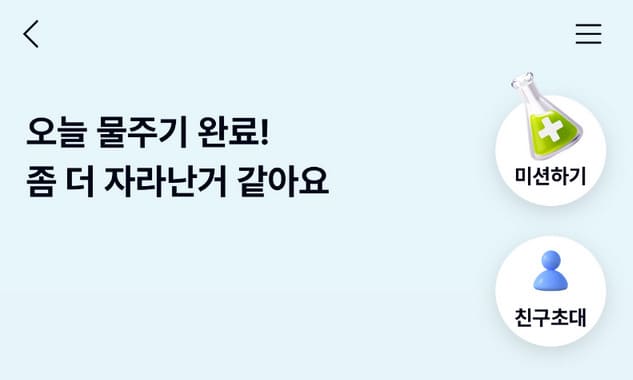 케이뱅크 돈나무