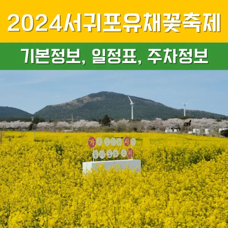 서귀포 유채꽃 축제