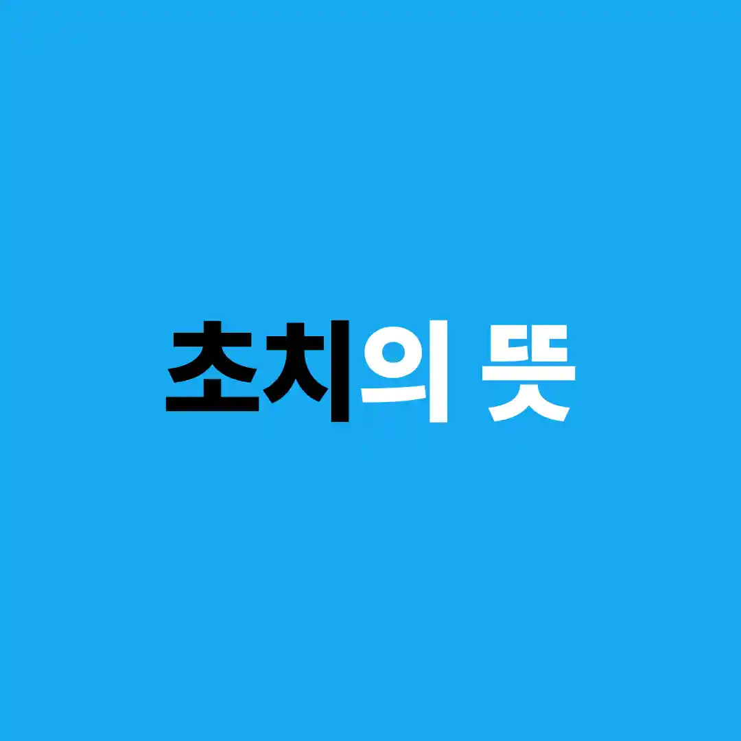 초치의 뜻을 담은 글의 썸네일