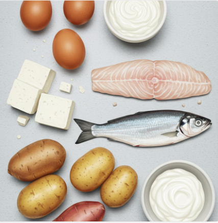 장염에 좋은 단백질과 탄수화물