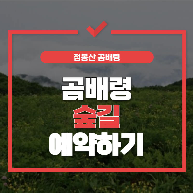 곰배령-예약하기-썸네일