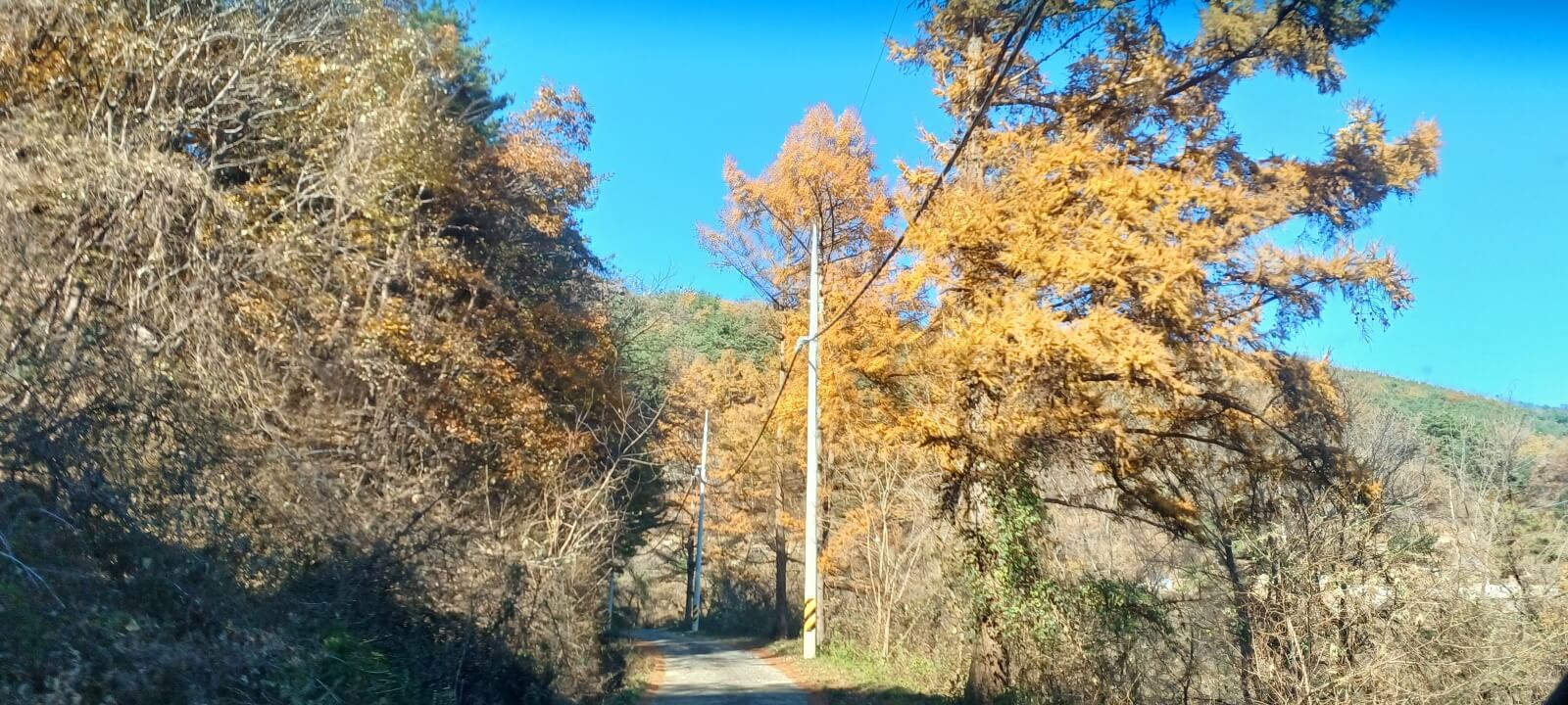 합천-오도산-오르는 길