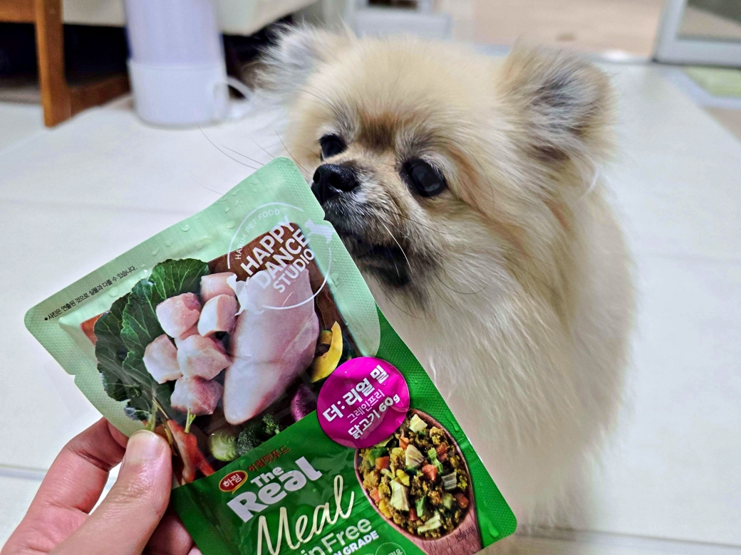 하림펫푸드 화식에 관심을 보이며 냄새를 맡는 강아지