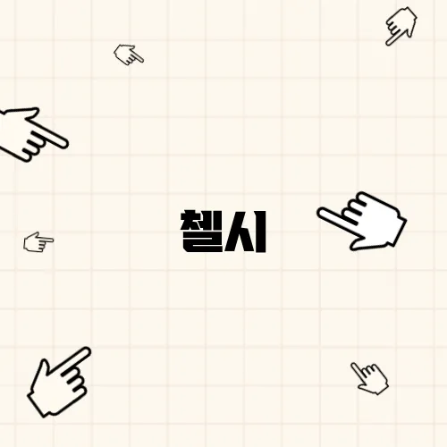첼시