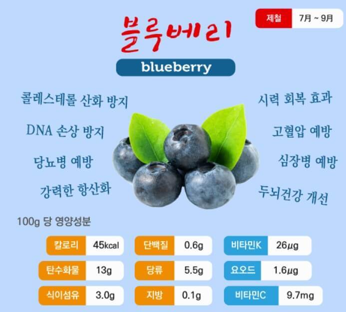 블루베리 영양성분