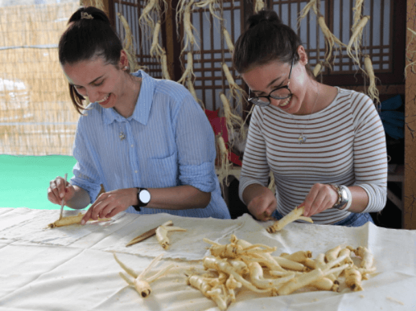 금산삼계탕축제 홈페이지 금산축제 관련 이미지 입니다.