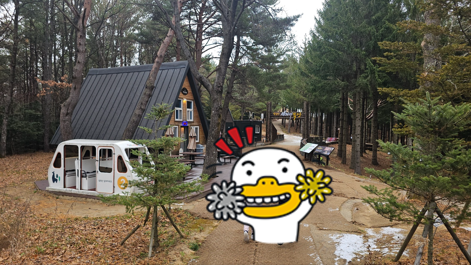 [24.11월] 아이와 평창 #1 - 모나 용평리조트 애니포레🏔️