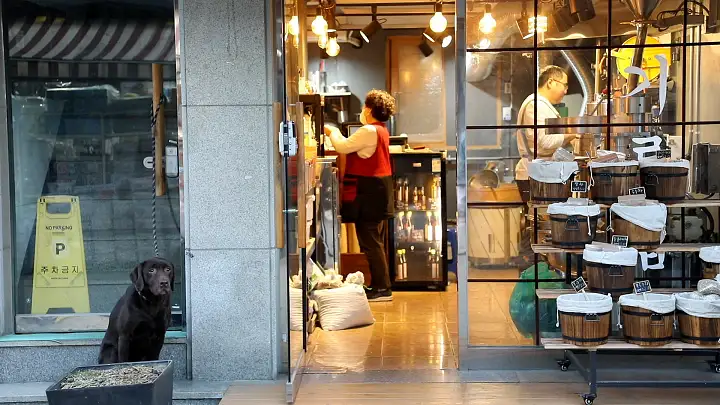 이만기 동네한바퀴 생기름 들기름 참기름 추천 기름집 성동구 왕십리 맛집 소개