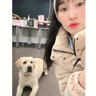 안혜진 배구선수 프로필 음주운전
