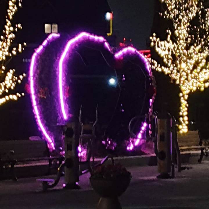 가평 청평 맛집 추천 생방송투데이 부채살 스테이크 화덕 통삼겹 바베큐 BBQ 화덕 피자 깔조네 파스타 브런치 오늘방송 떴다 동네방네