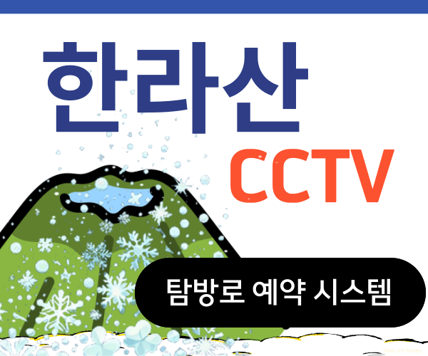 한라산cctv