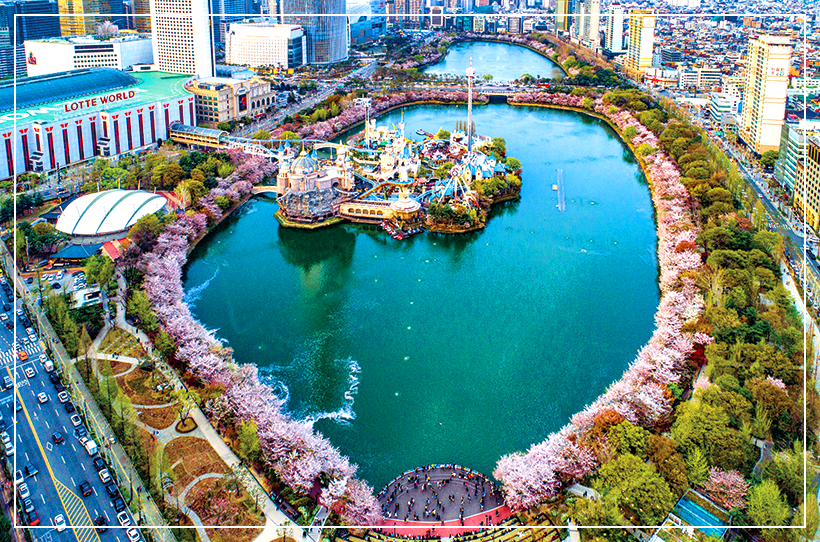 석촌호수 벚꽃축제