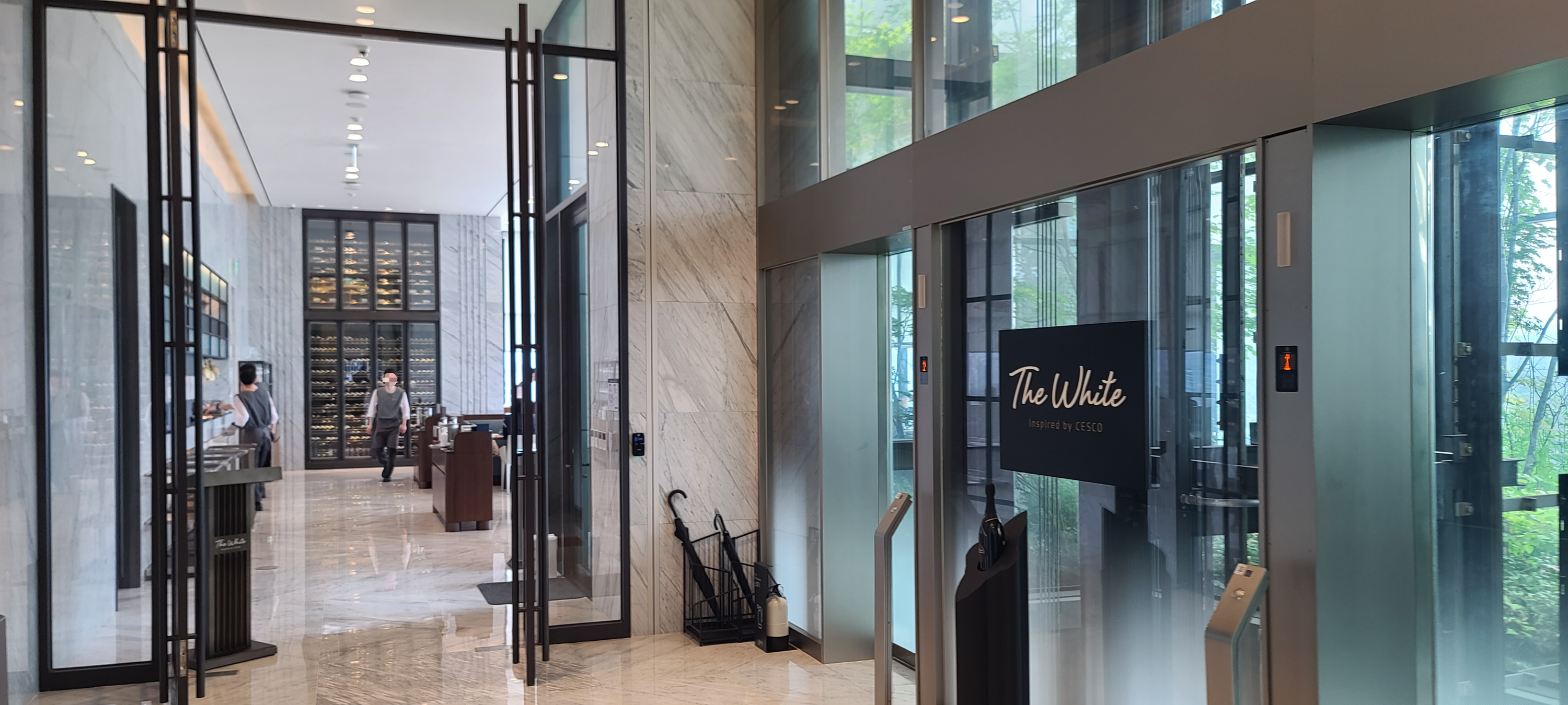 코스요리 강동구맛집 더화이트 세스코 프랑스요리 고급레스토랑