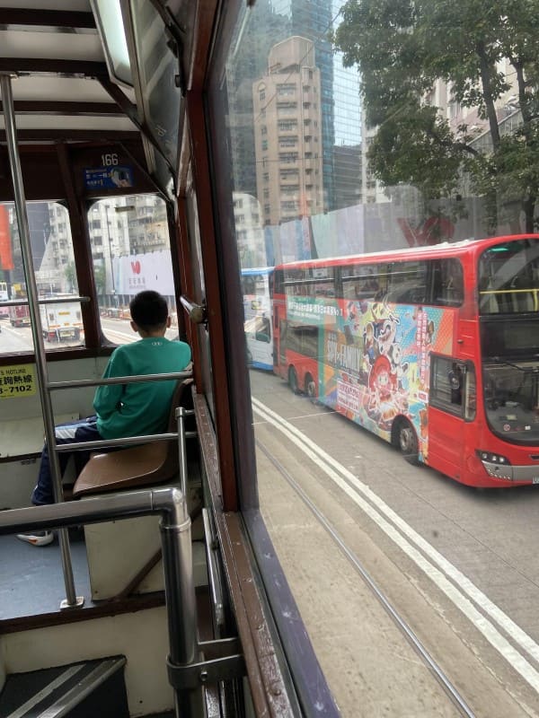 트램 2층 좌석에 앉았을 때 보이는 바깥 풍경