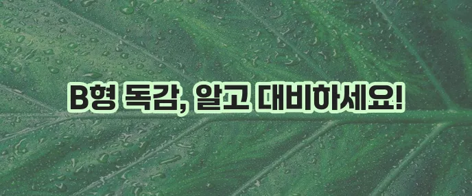 B형 독감 증상과 예방 방법을 자세히 알아봅시다!
