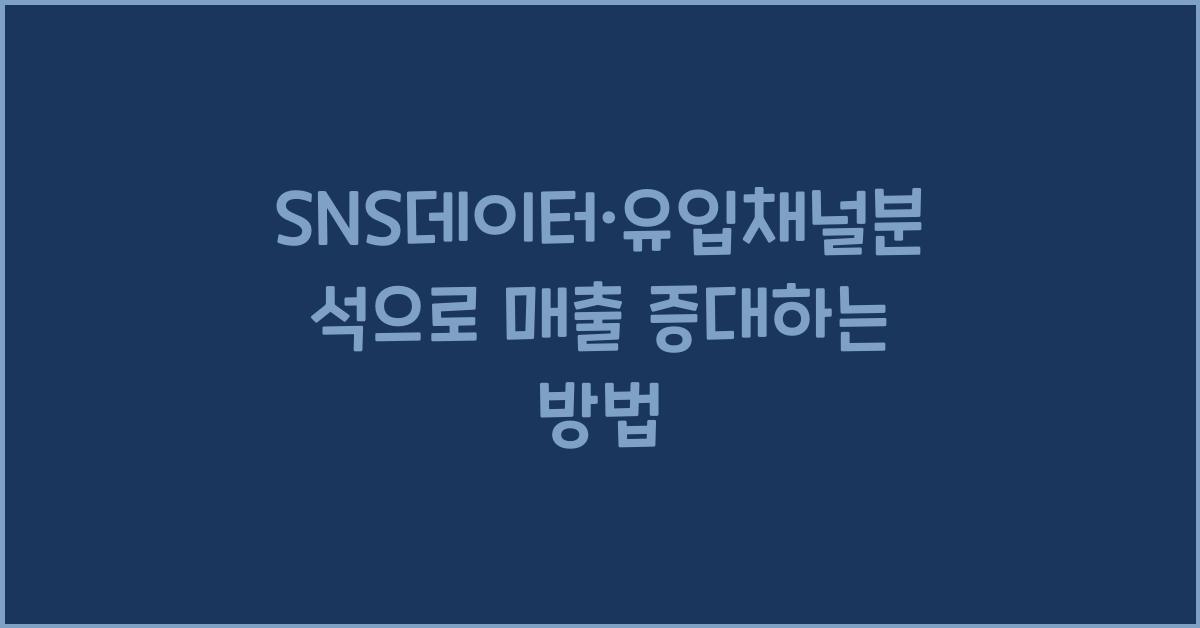 SNS데이터·유입채널분석