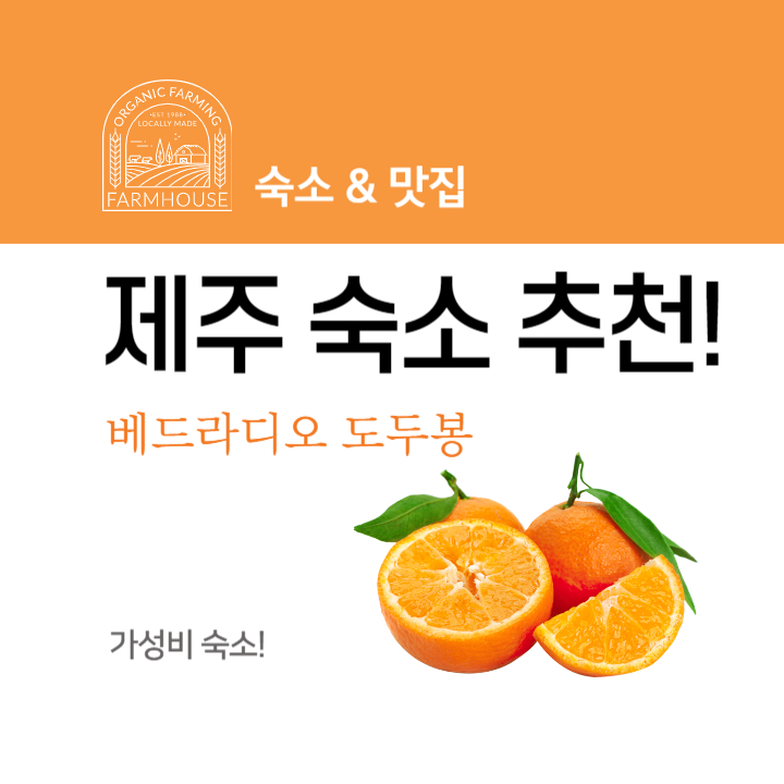 제주 숙소 추천