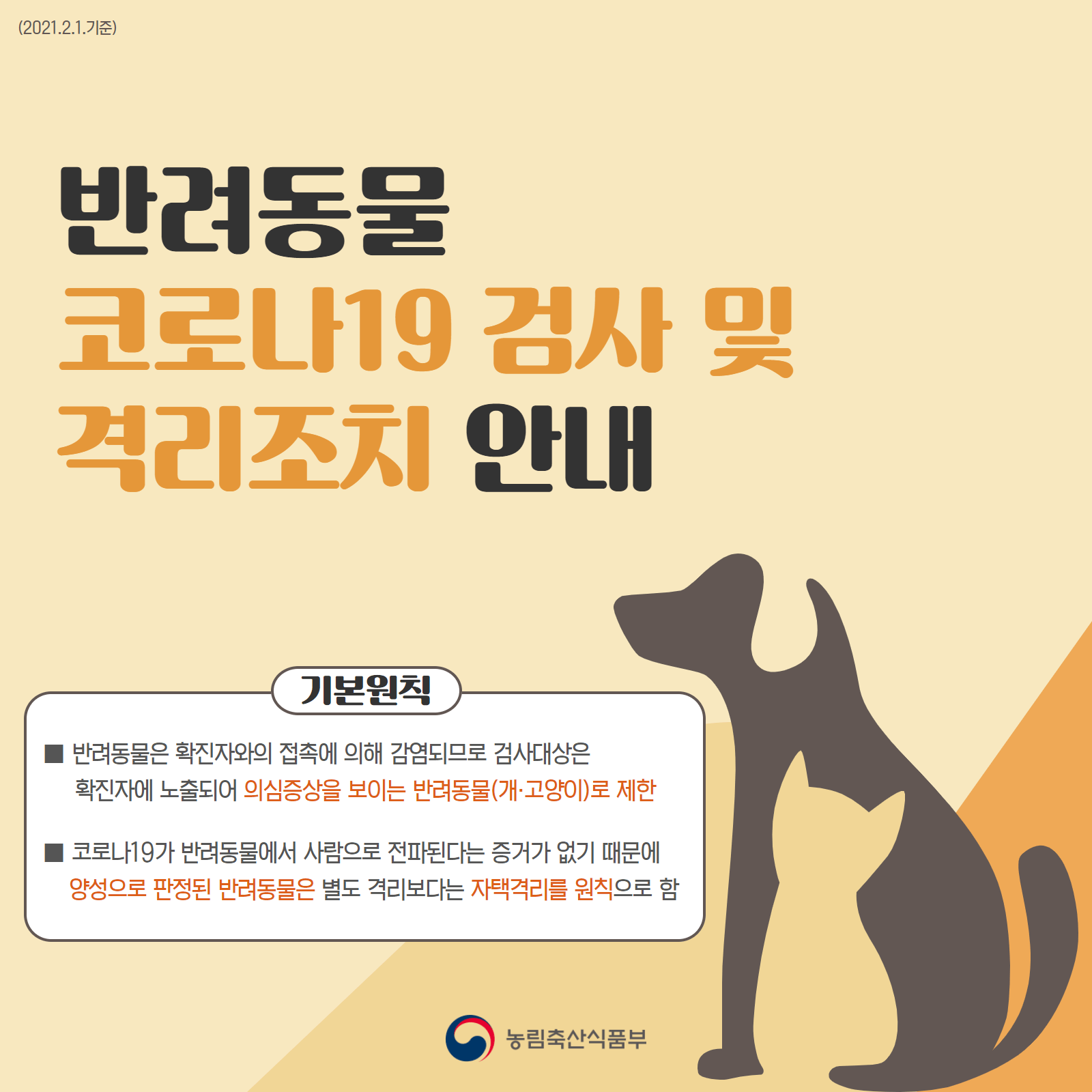 강아지코로나고양이코로나