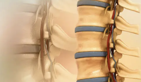 백혈구 수치가 낮은 이유 23