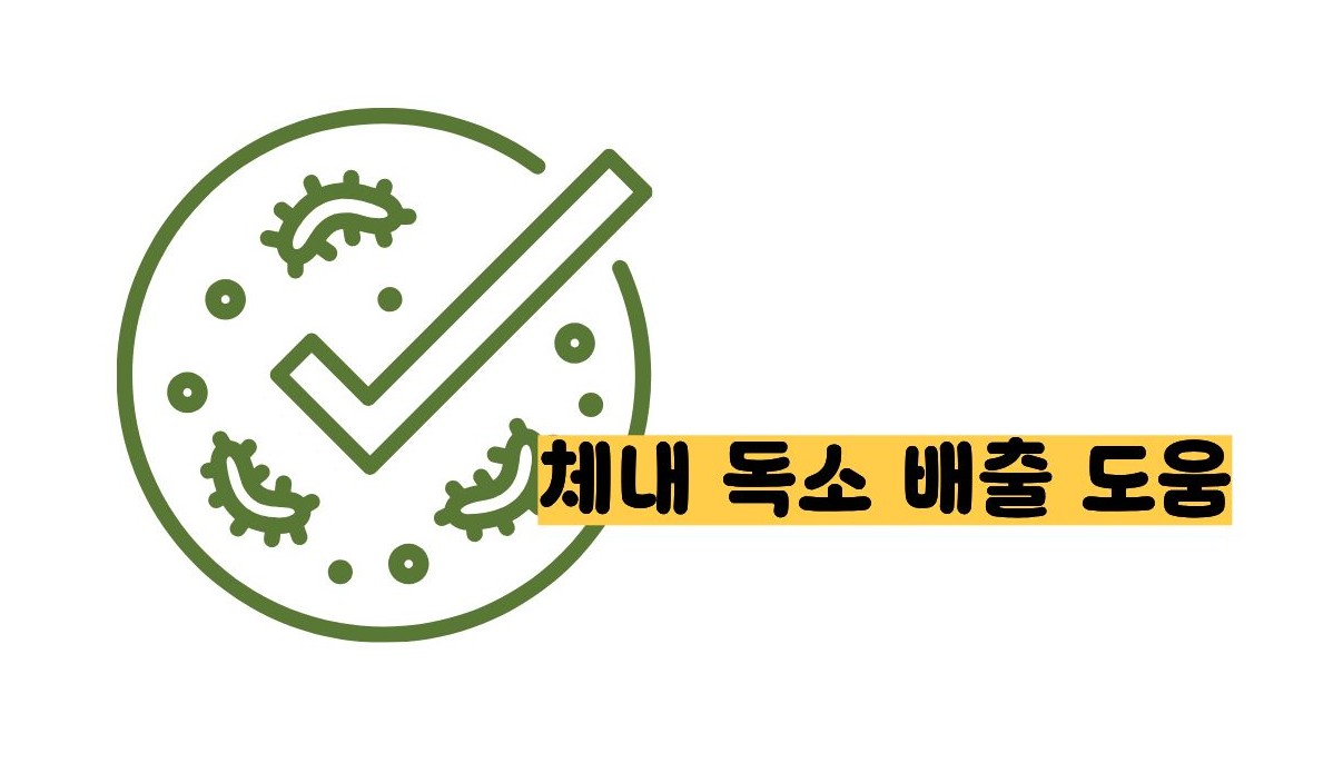 도라지청의 효능