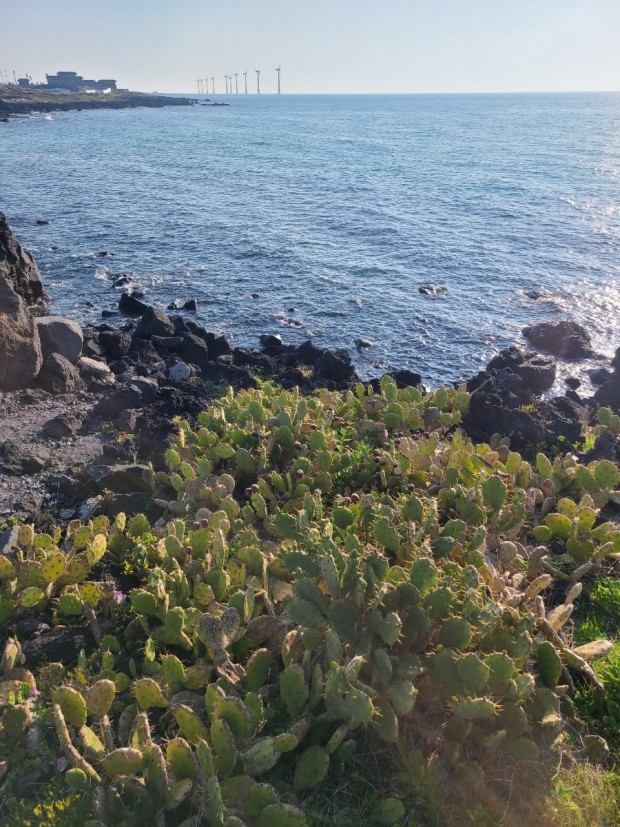 제주도 일몰 명소 베스트 6