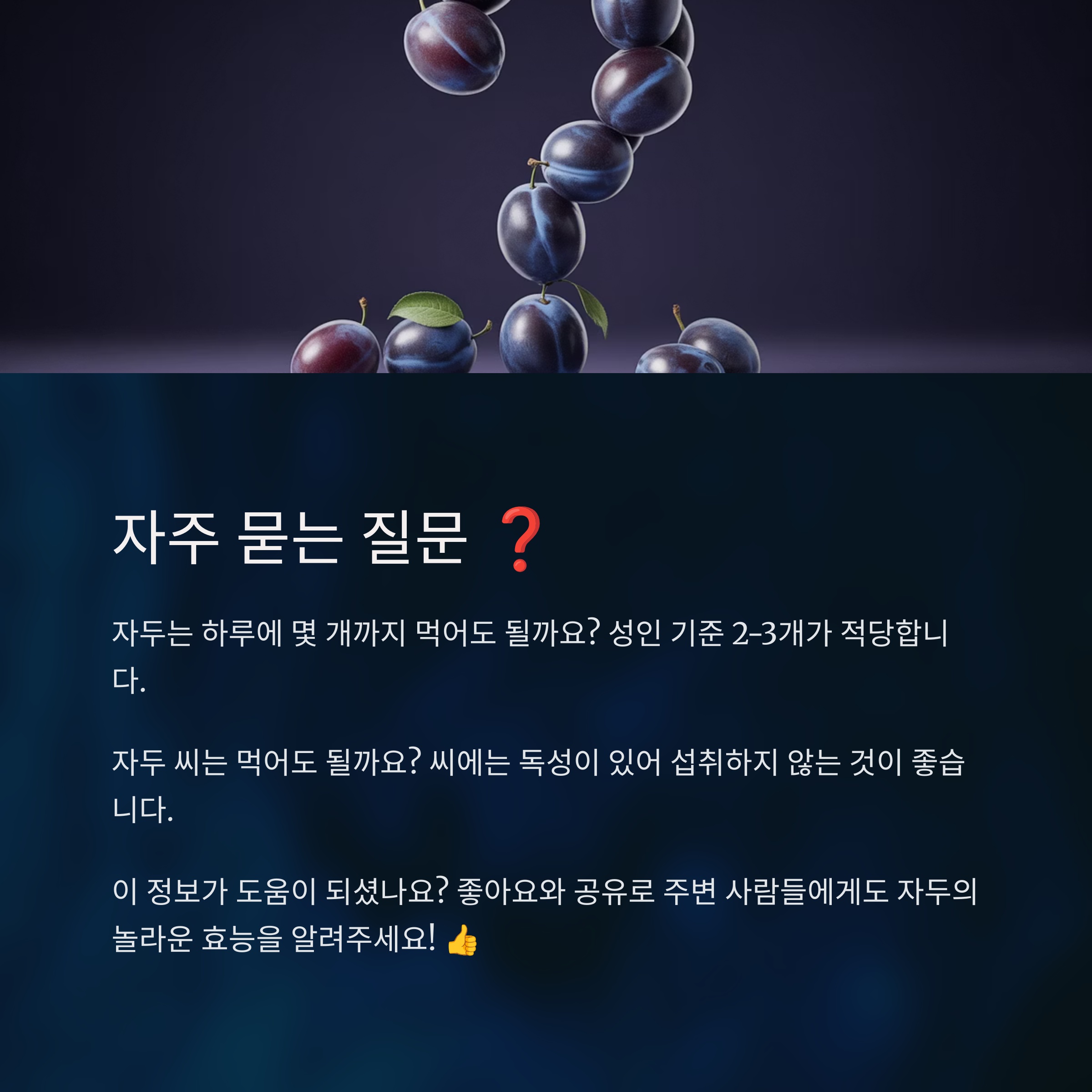 자주 묻는 질문 ❓