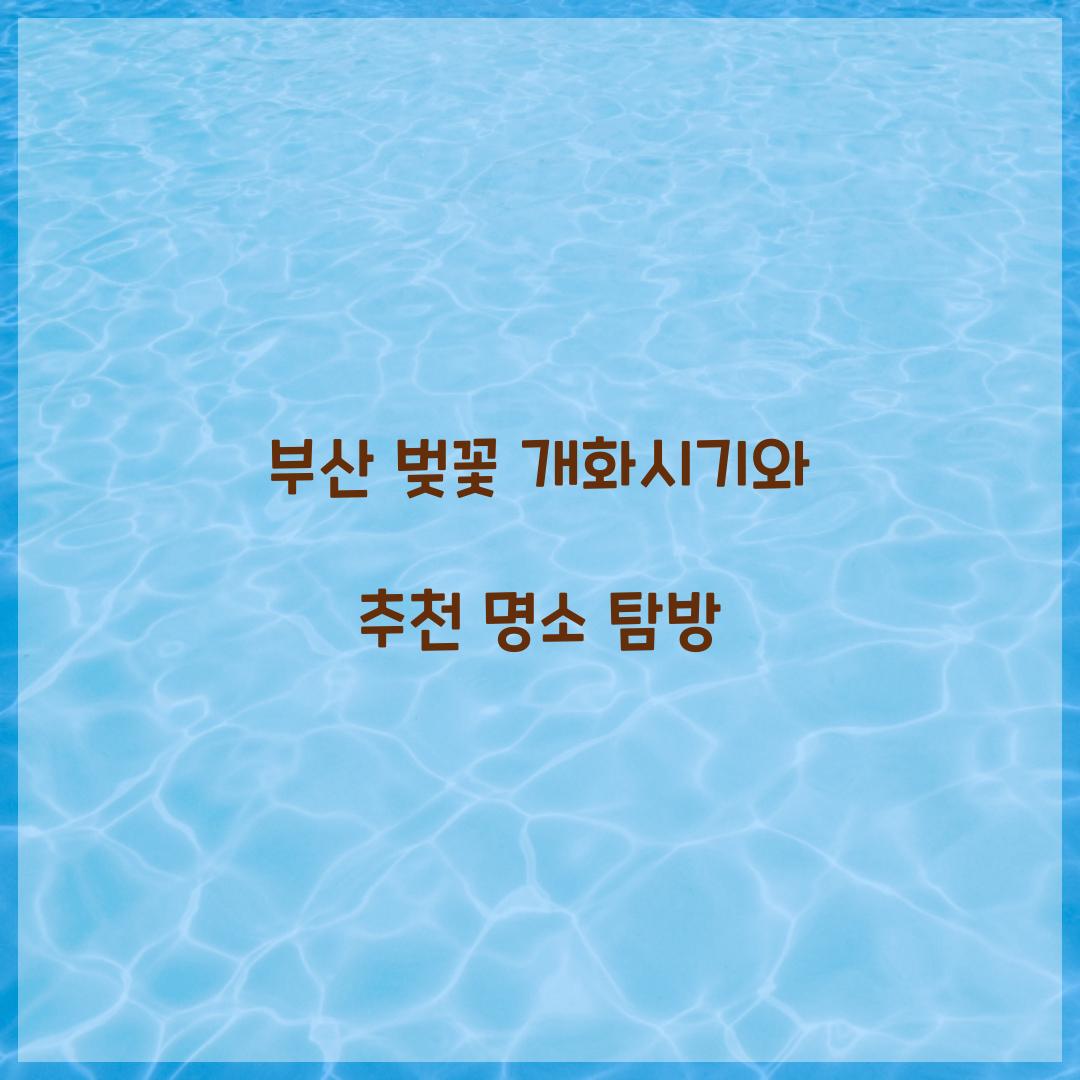 부산 벚꽃 개화시기