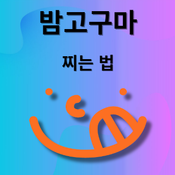 밤고구마 찌는법