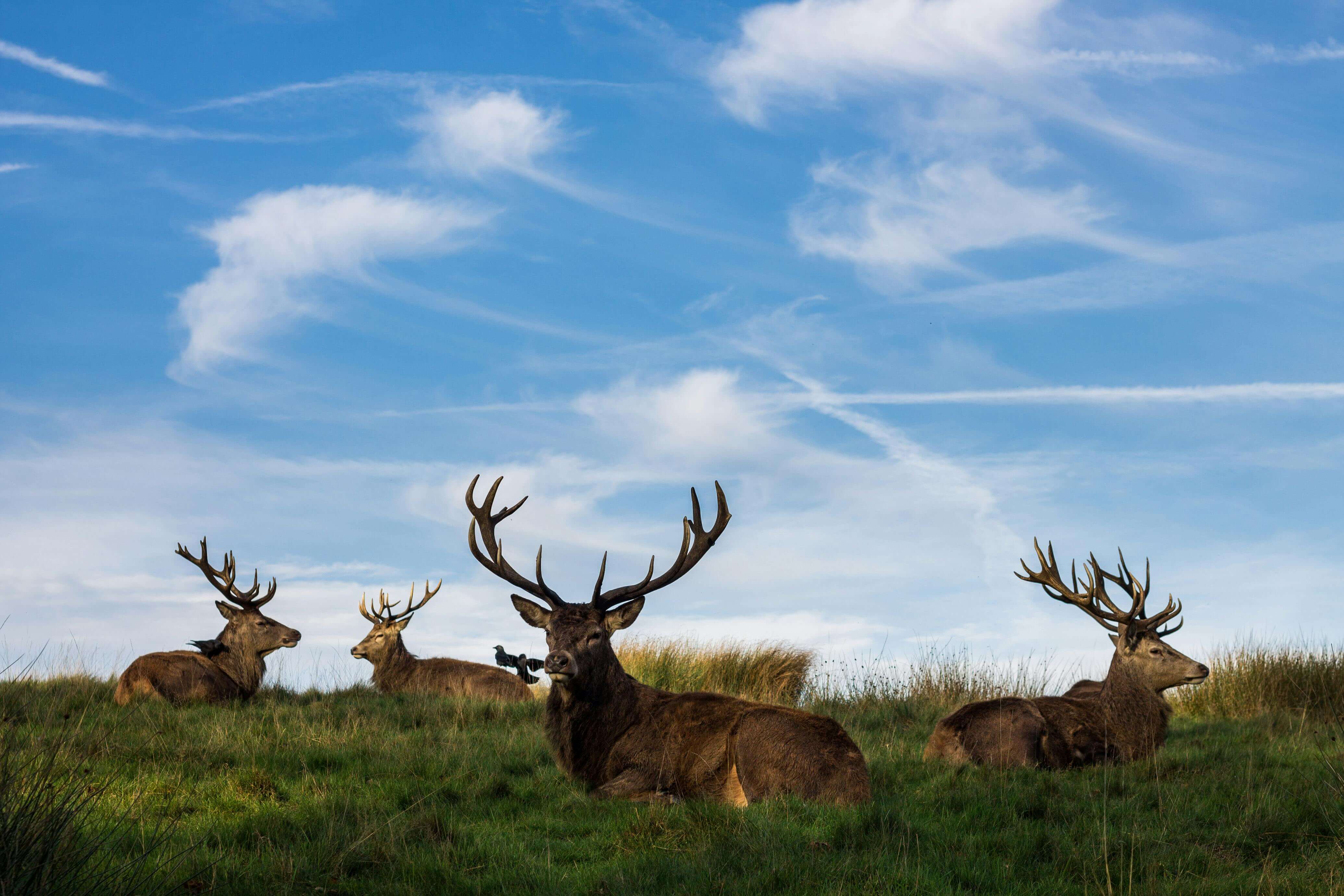 주민등록초본 인터넷발급15