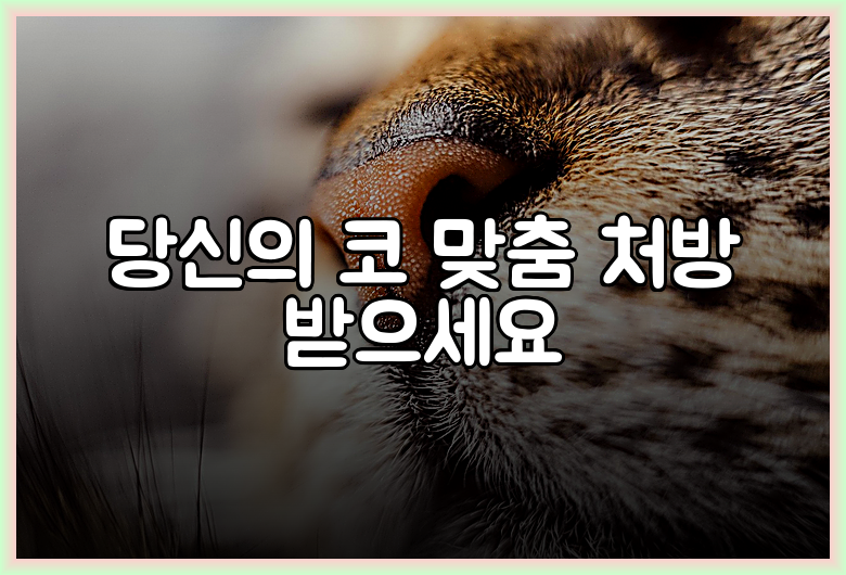 당신의 코 맞춤 처방 받으세요