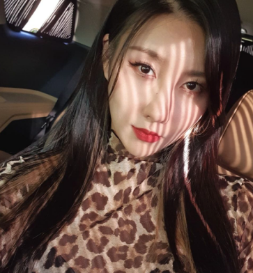스테파니