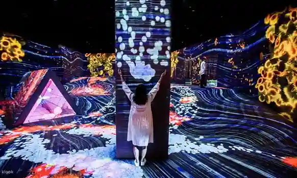 후쿠오카 팀랩 포레스트 입장권, teamLab Forest Fukuoka 움직임의 숲 채집의 숲 디지털 아트 전시