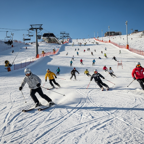 12월 개장 스키장