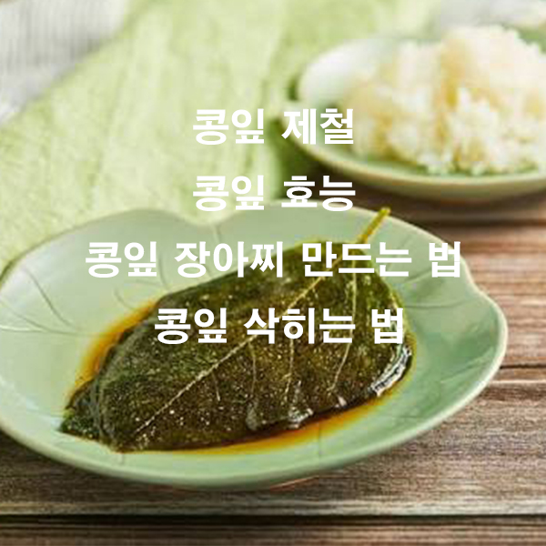 콩잎 제철 콩잎 효능 콩잎 장아찌 만드는 법 콩잎 삭히는 법