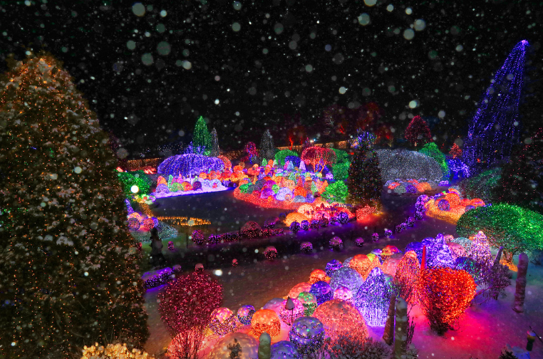 아침고요수목원3