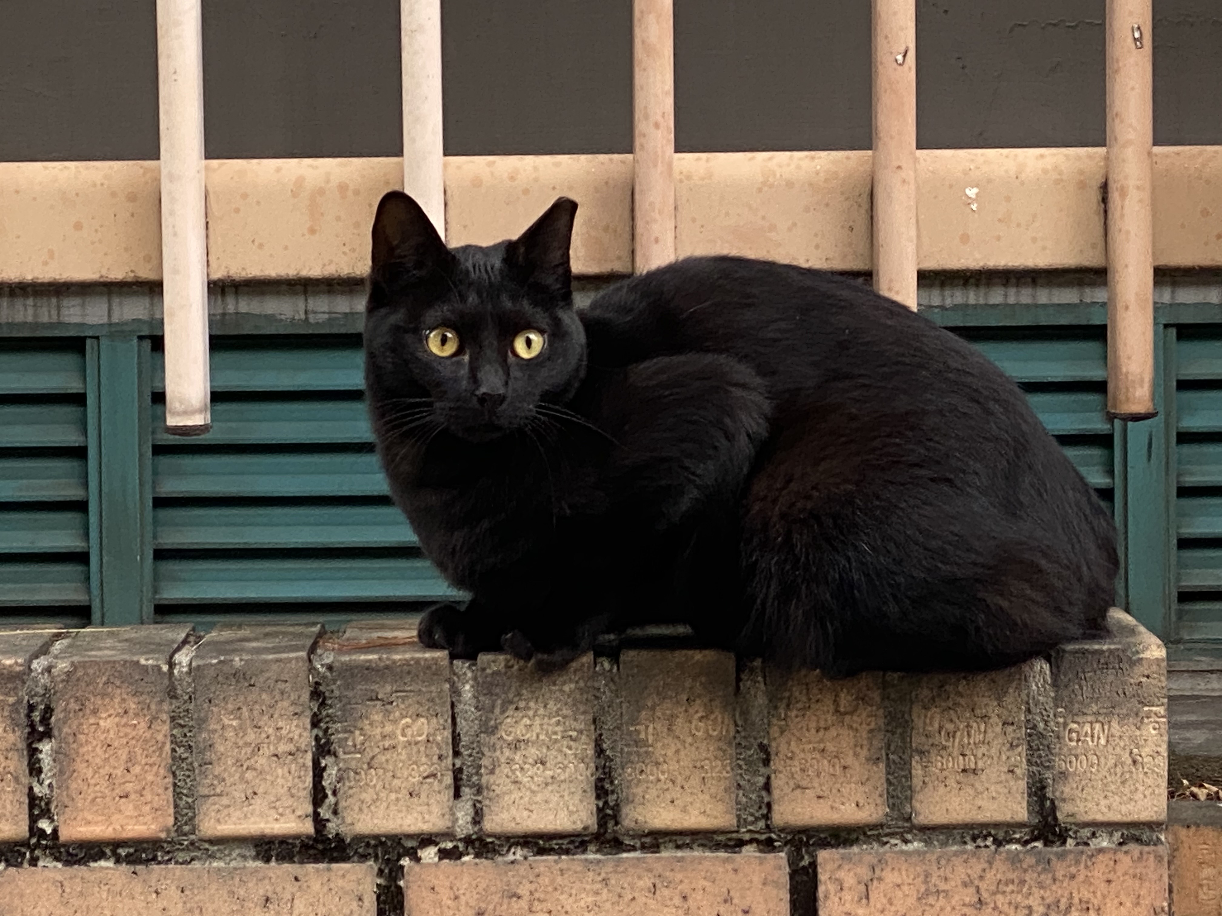 Alt 속성 문제 해결 설명 이미지