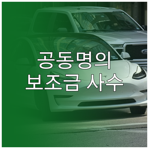 전기차 보조금 공동명의 신청 방법과 ..