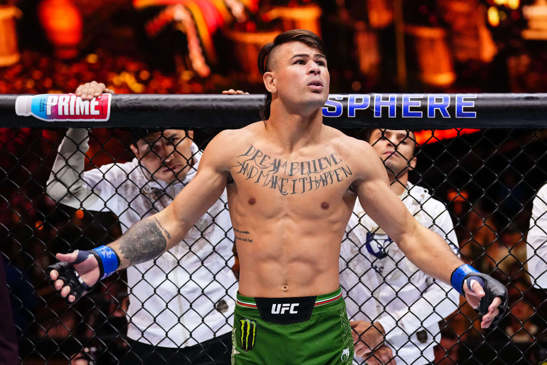 UFC Fight Night - 디에고 로페스 vs 제앙 실바