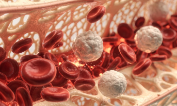 비타민K 중요한 이유