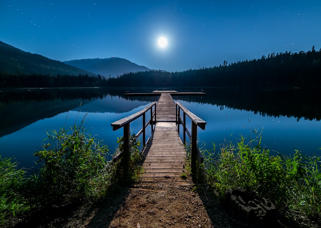 Moonlight