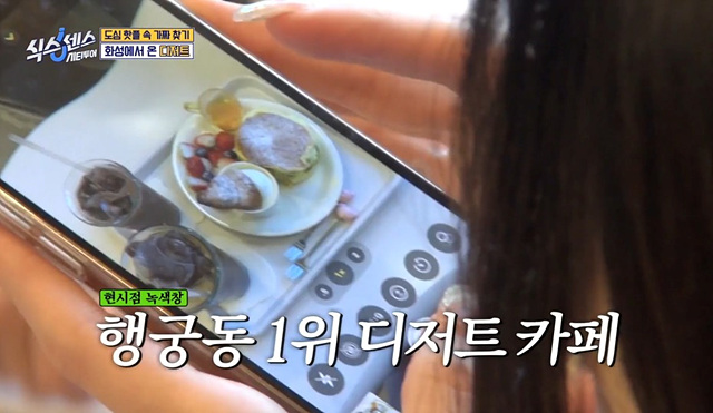식스센스 수원 2회 맛집 정보 김치폭탄통닭 파르페 냉면꼬치 디믈리에 도토리캐리커쳐 여행