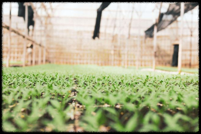 📢 2025년 직불금 교육 신청 필수 가이드! 꼭 받아야 할까? 신청 방법과 마감 기한 총정리