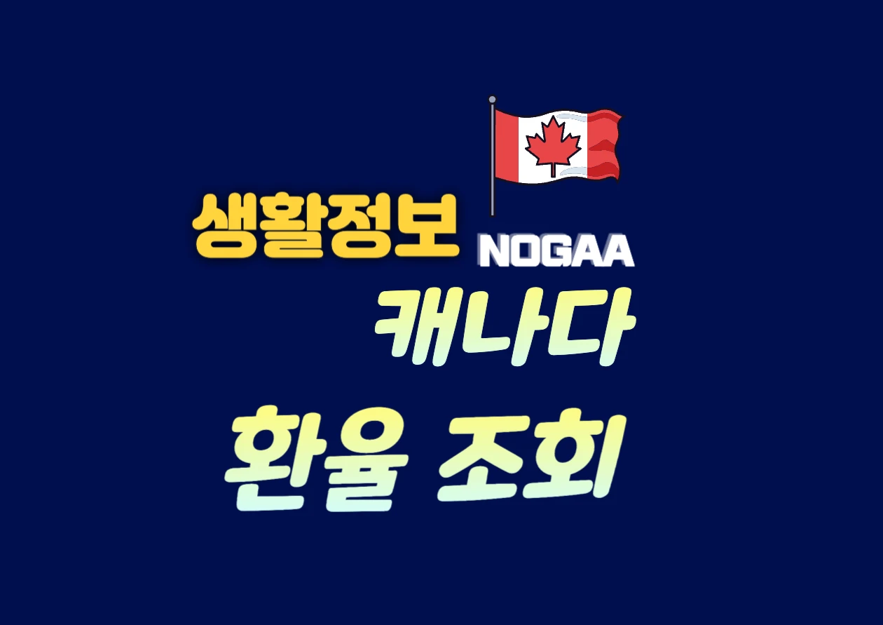캐나다 환율 조회