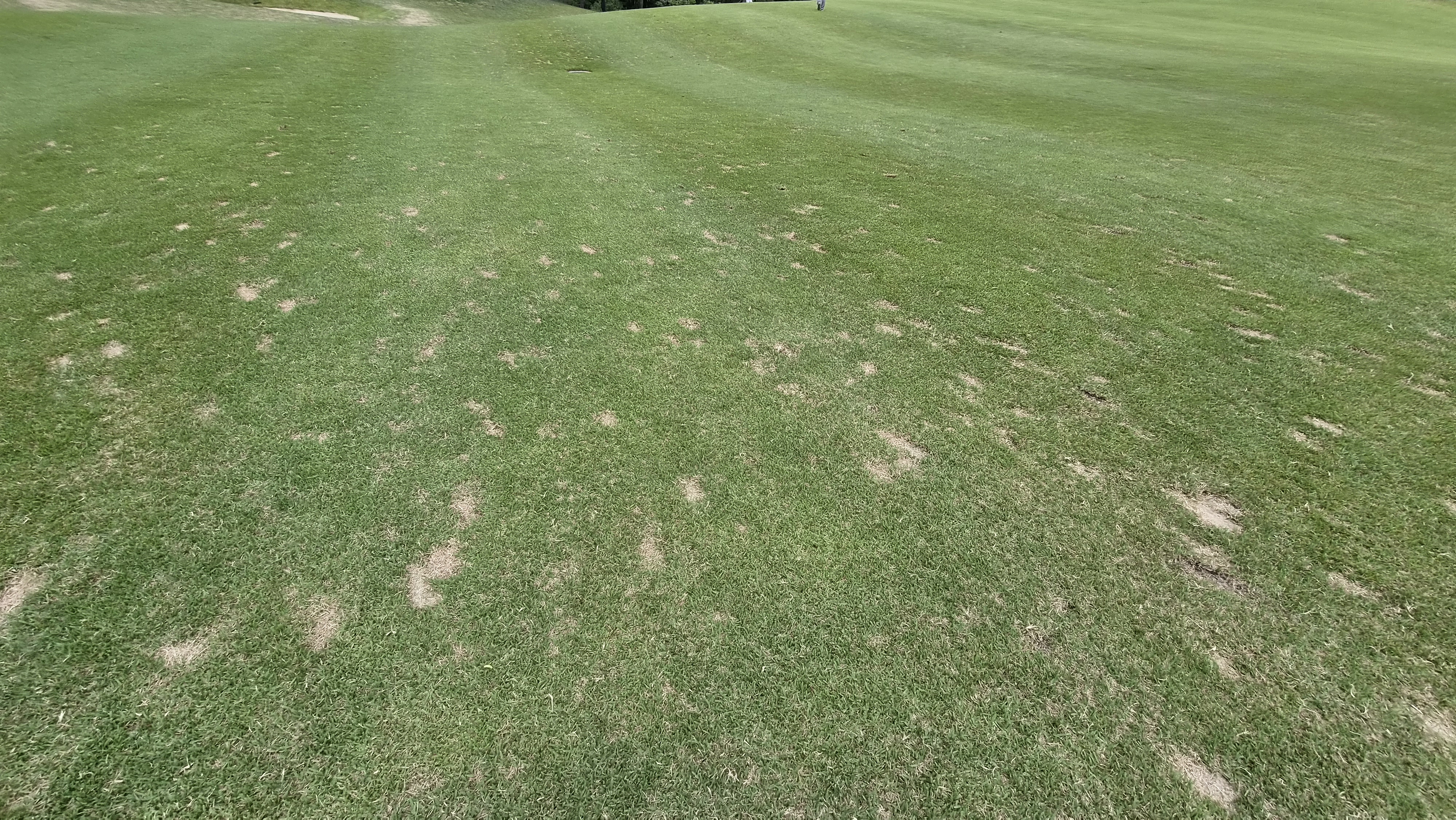 360도cc 코스 관리상태