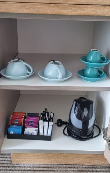 테리걸 호텔 크라운 플라자