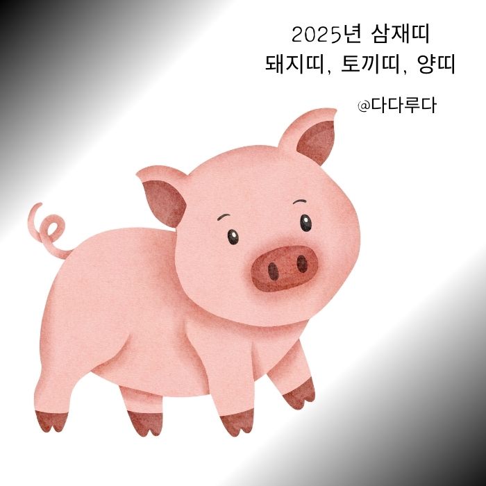 2025년 삼재띠 돼지띠,토끼띠, 양띠 주의사항, 극복방법