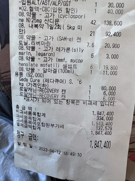 진료비용 영수증