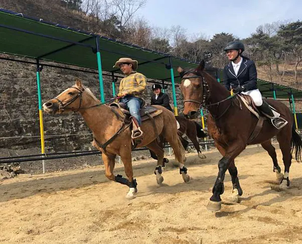 홀스파크